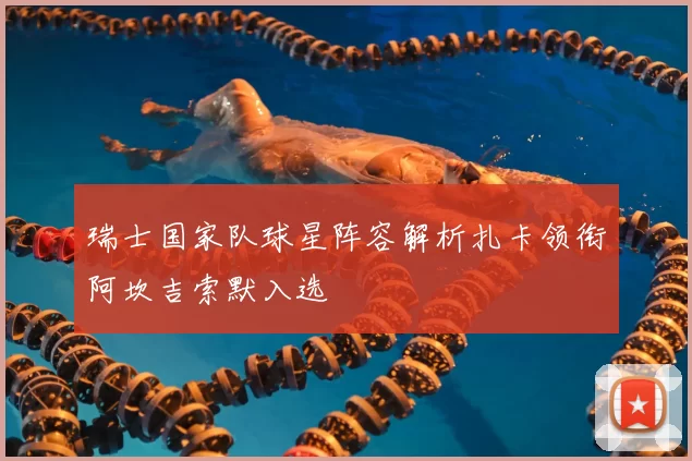 瑞士国家队球星阵容解析扎卡领衔阿坎吉索默入选