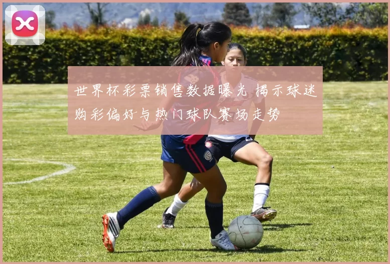 世界杯彩票销售数据曝光 揭示球迷购彩偏好与热门球队赛场走势