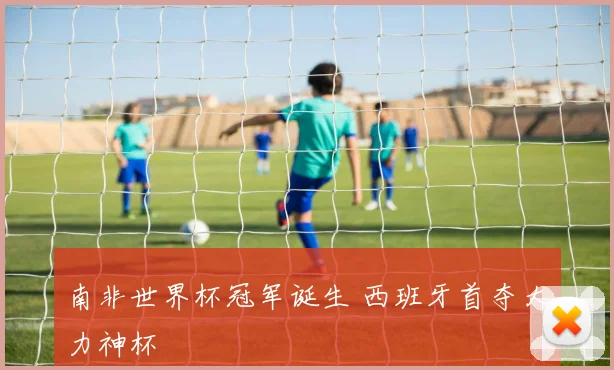 南非世界杯冠军诞生 西班牙首夺大力神杯