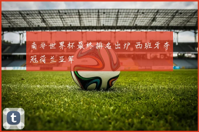 南非世界杯最终排名出炉 西班牙夺冠荷兰亚军