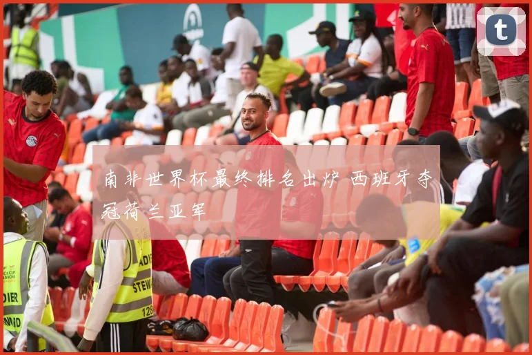 南非世界杯最终排名出炉 西班牙夺冠荷兰亚军