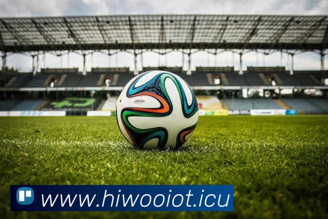 App Interface Preview